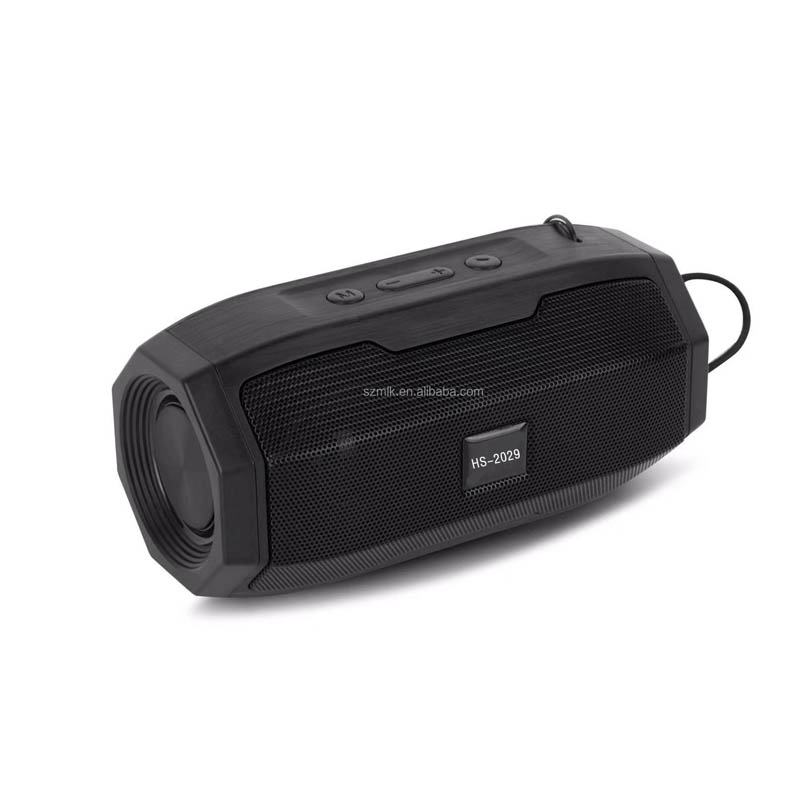 HS-2029 2021 new high quality speaker mini speaker with FM radio