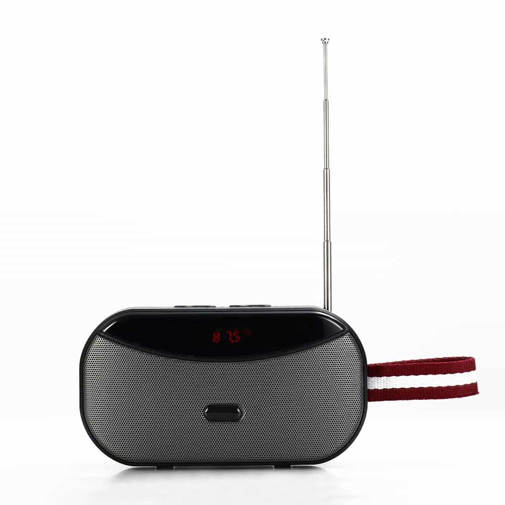 Wireless speaker system