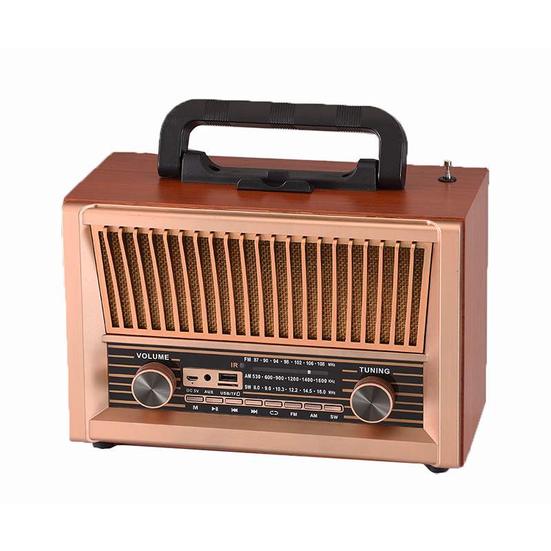 Portable radio with Bluetooth