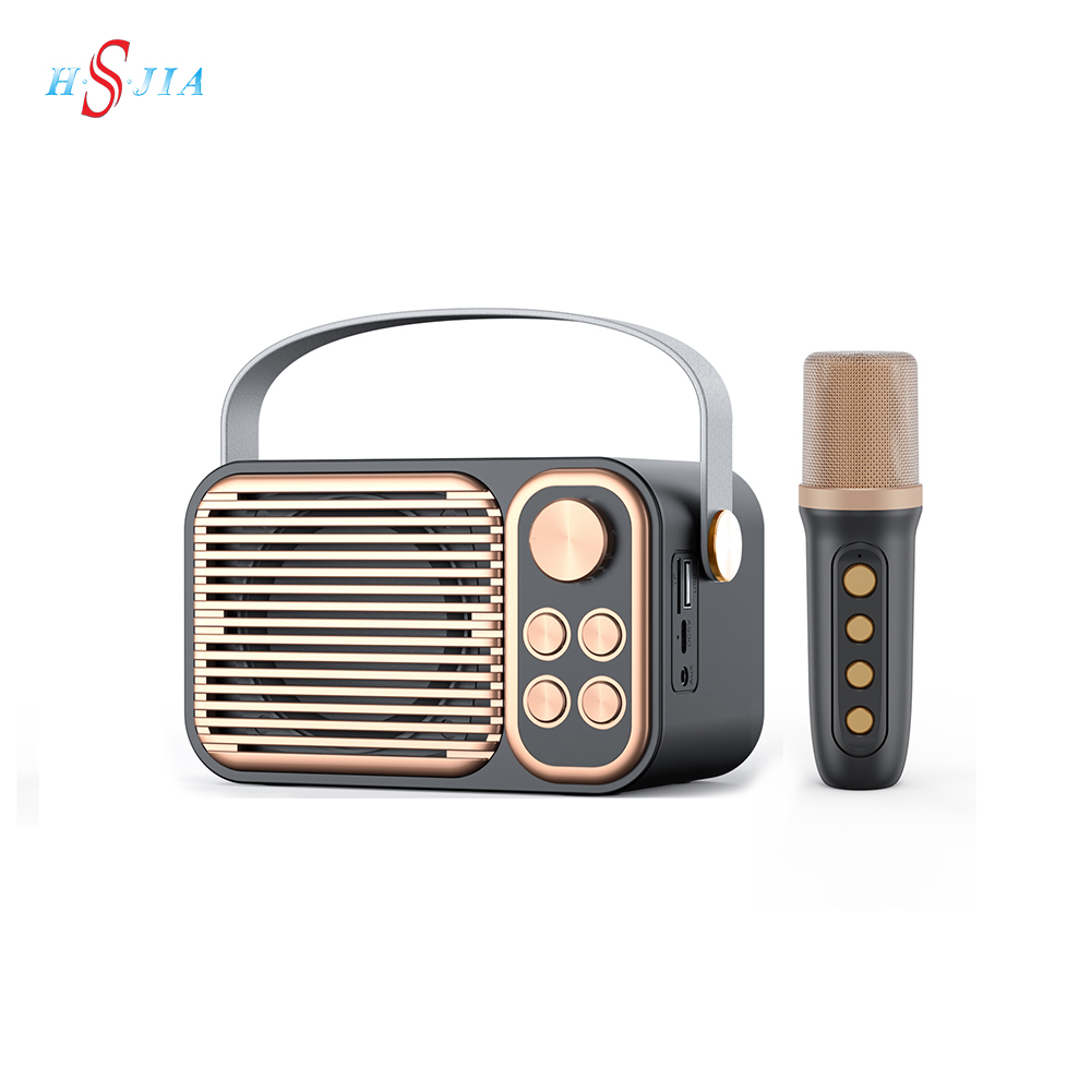 HS-3602 Hot Selling Family Ktv Wireless Outdoor Speaker with Tws Microphone