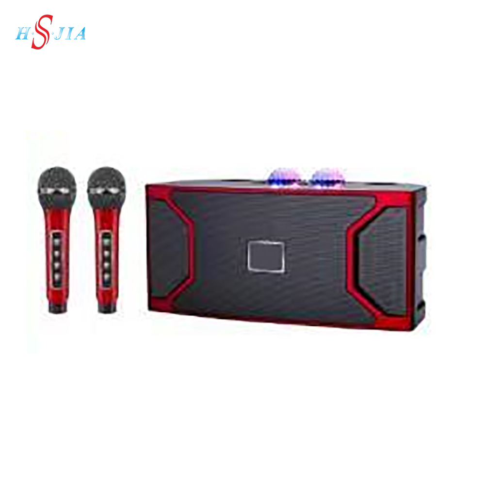 HS-3606 New Portable Karaoke Machine for Adults Kids 2 Wireless Microphones